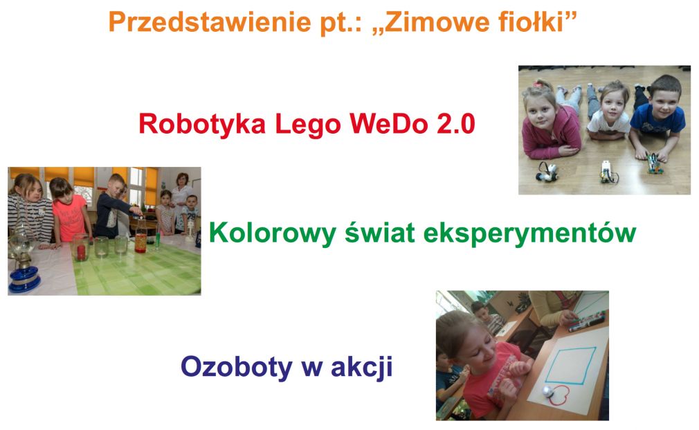 foto: materiał nadesłany