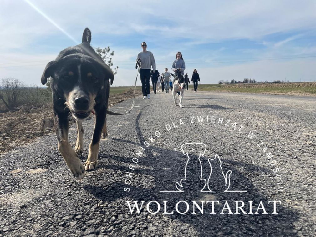 foto: materiał nadesłany