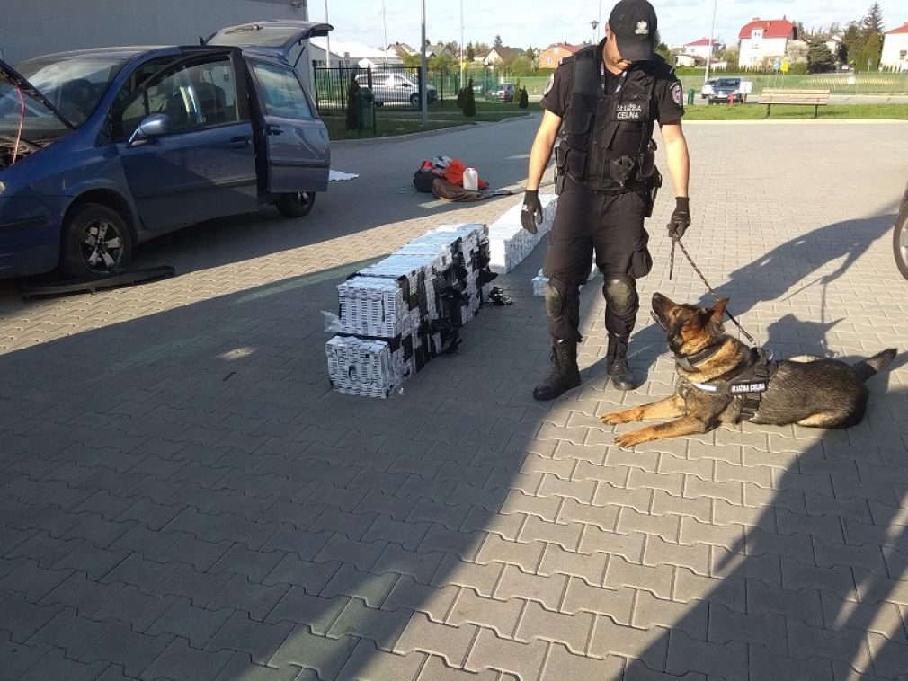 foto: KAS, materiał nadesłany