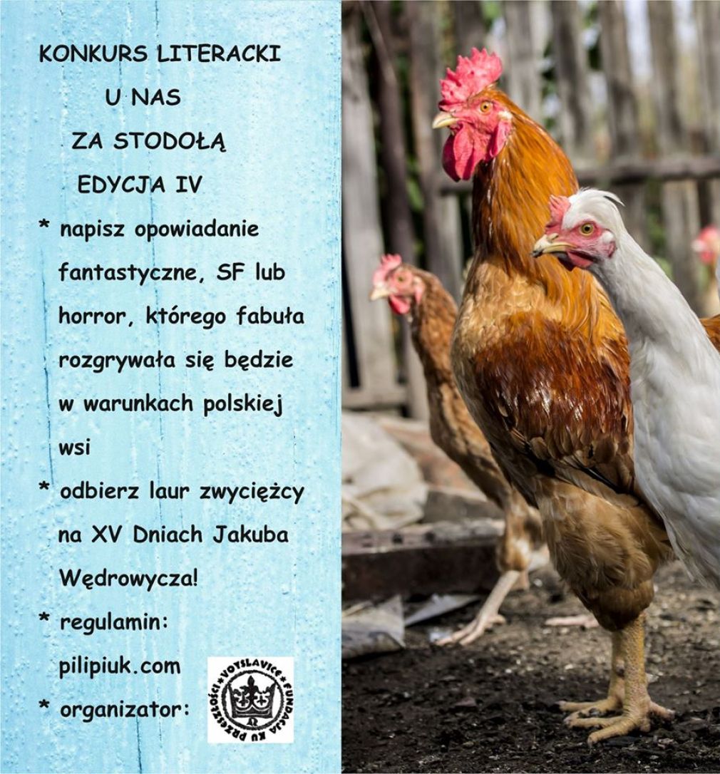 foto: materiał nadesłany