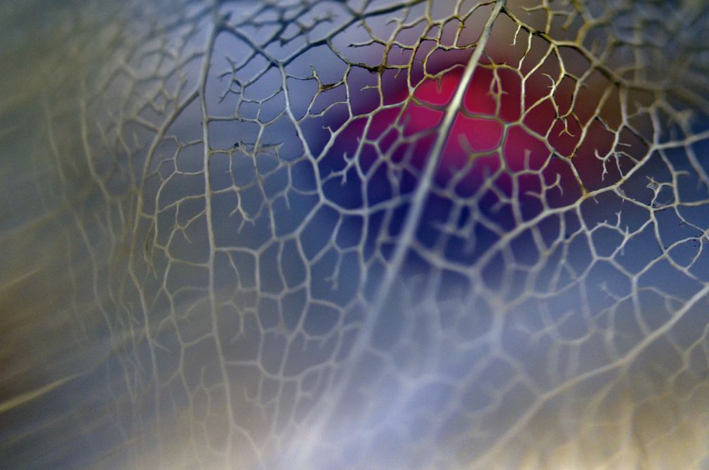 foto: materiał nadesłany
