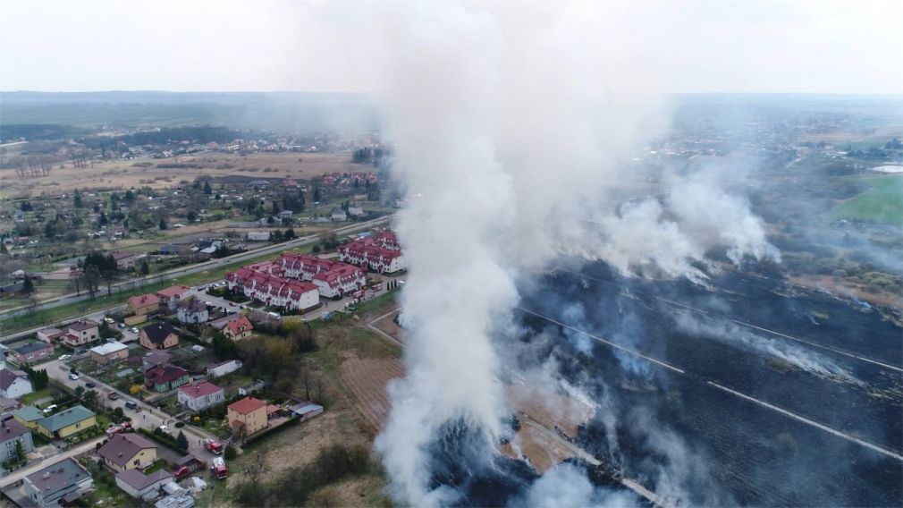 foto: archiwum, materiał poglądowy