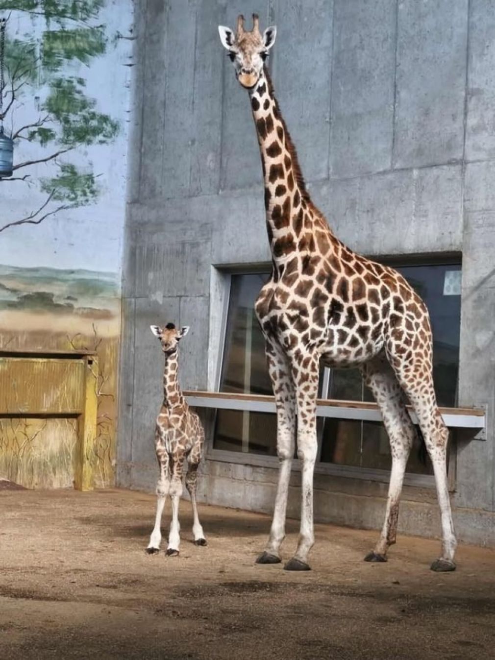 foto: ZOO Zamość