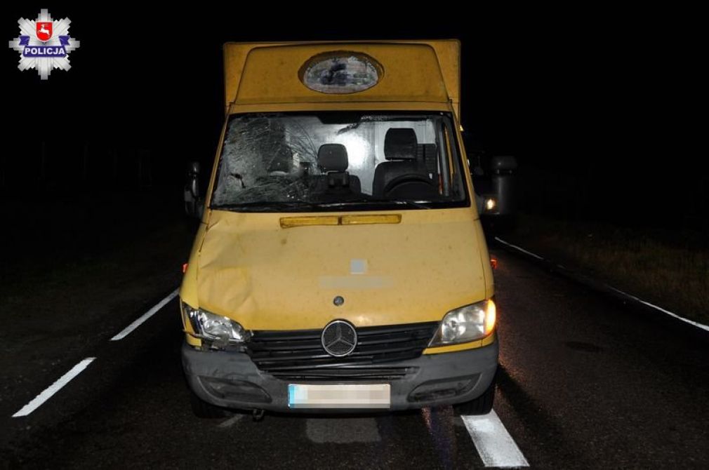 Mercedes potrącił na prostym odcinku drogi, foto: Policja