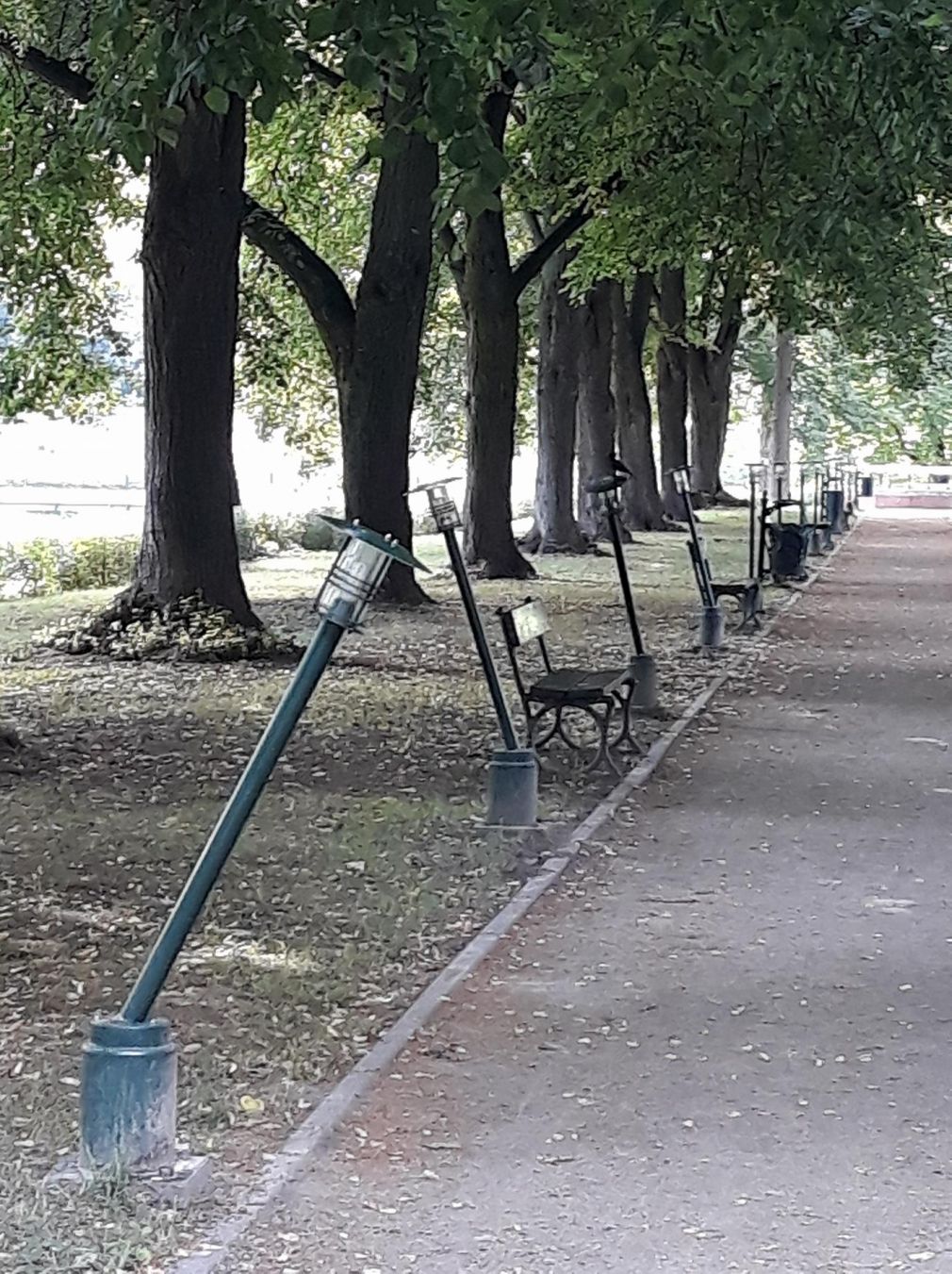 foto: Piotr Małysz