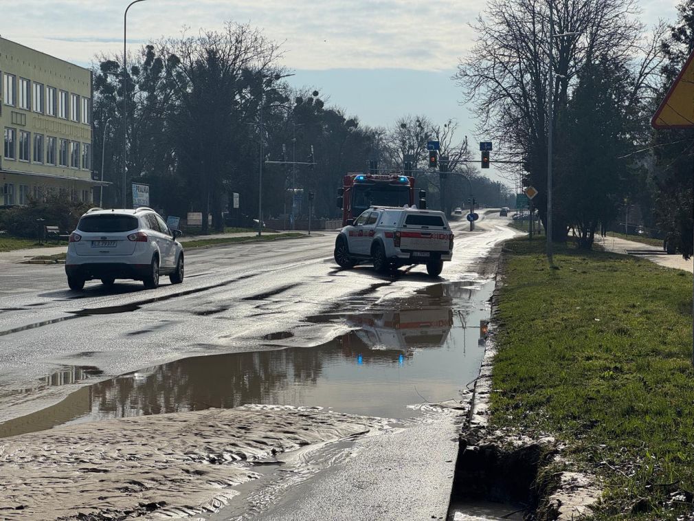 foto: UM Zamość