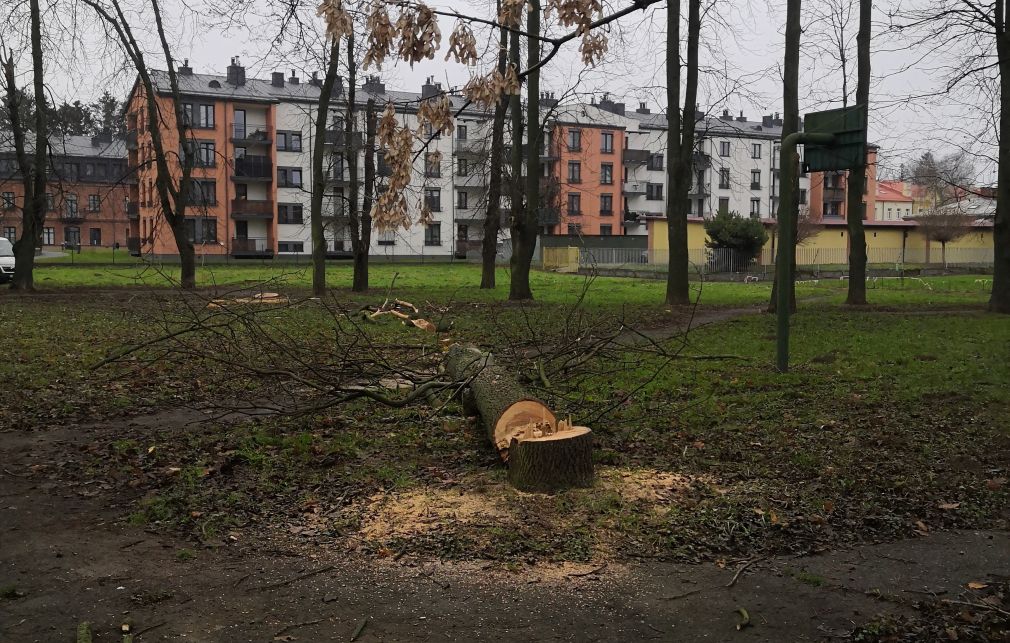 foto: Czytelnik, materiał nadesłany