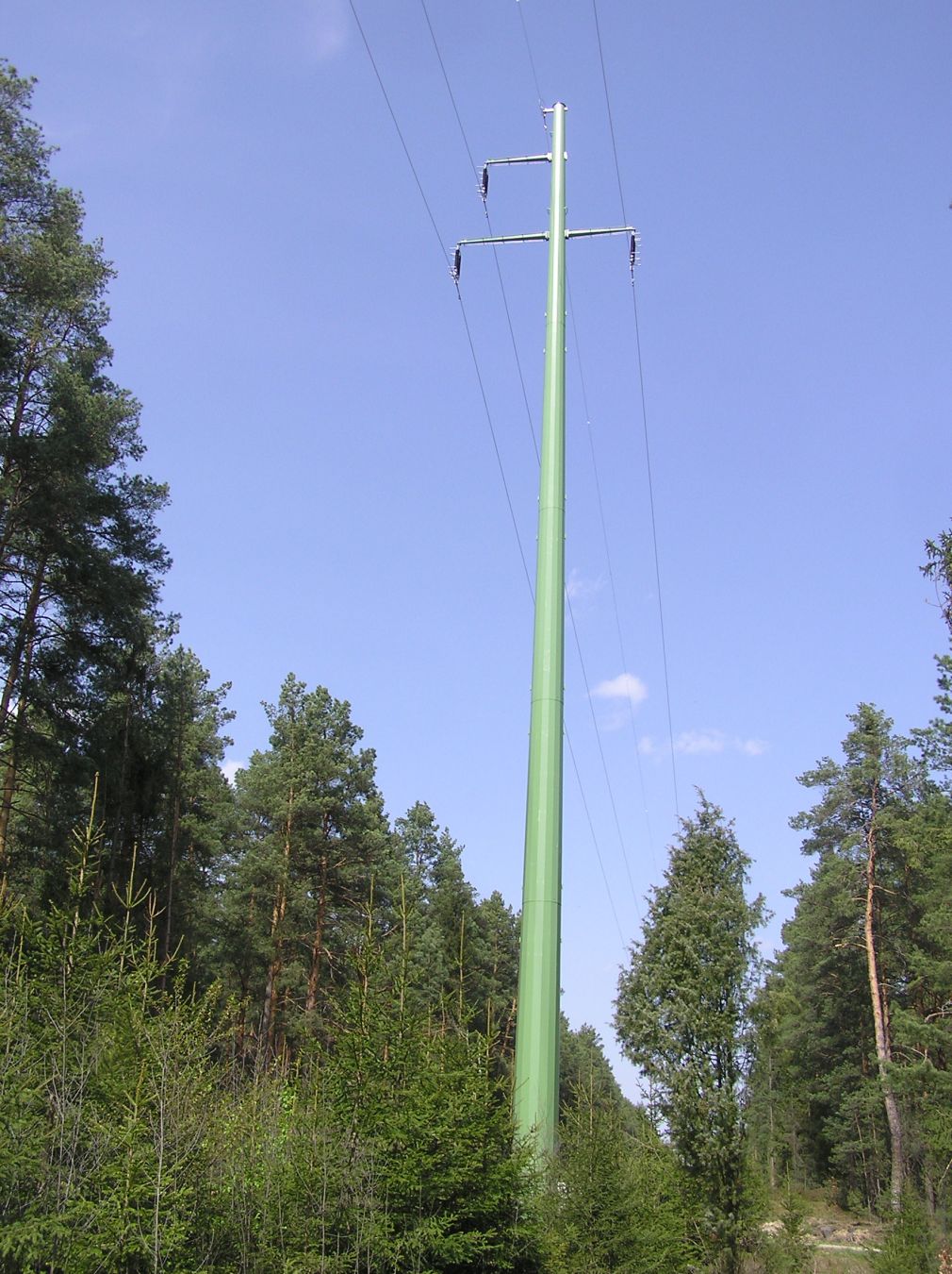 foto: materiał nadesłany