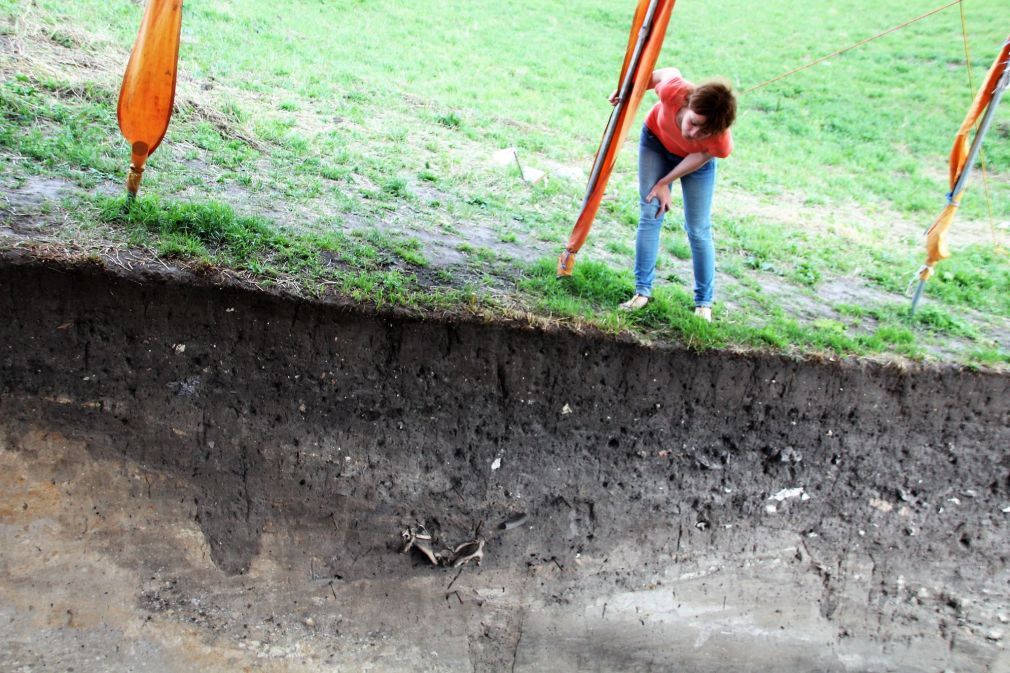 Bożena Gwiazdowska-Nowak ogląda profil wykopu archeologicznego