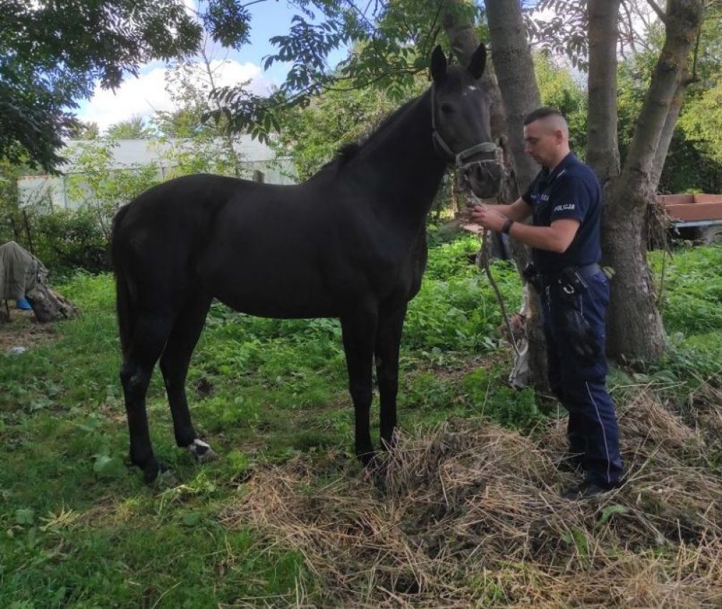 foto: Policja