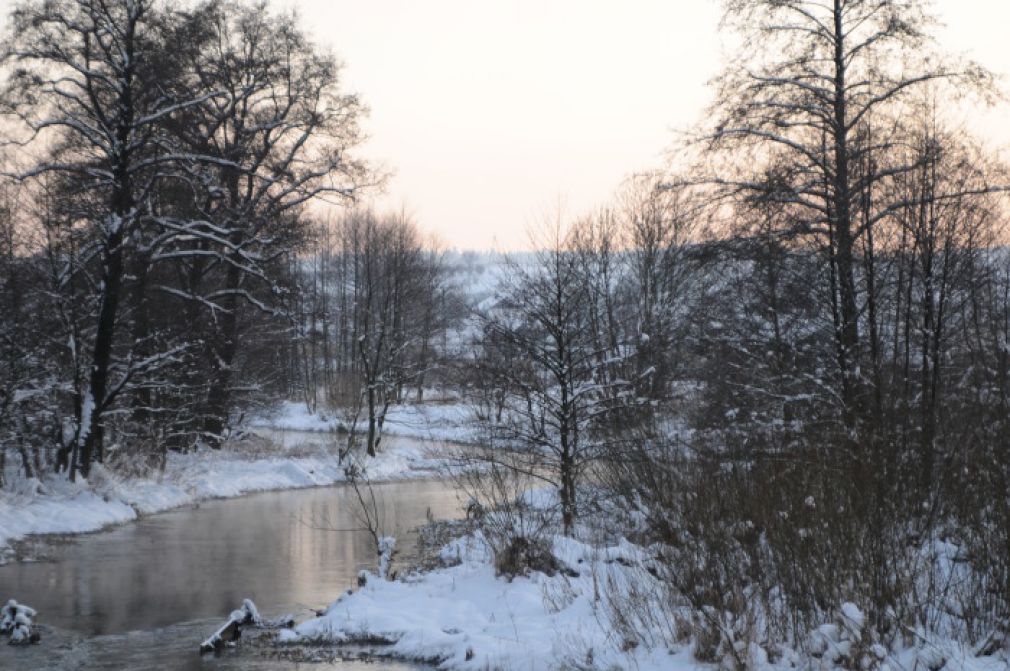 foto: archiwum, materiał poglądowy