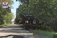 foto: Policja