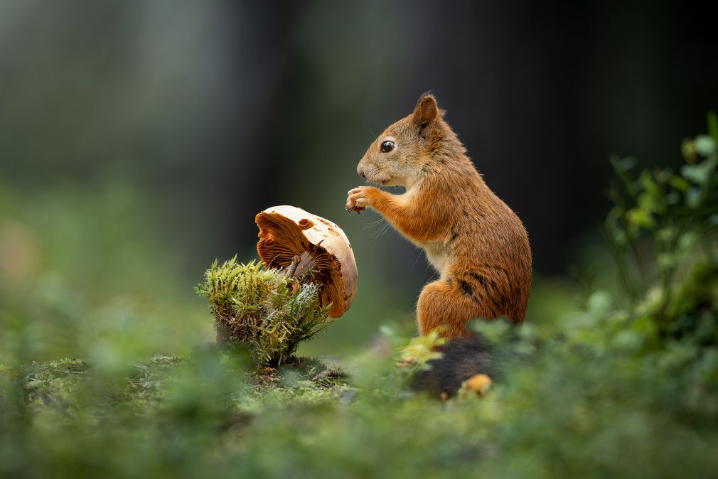 foto: materiał nadesłany