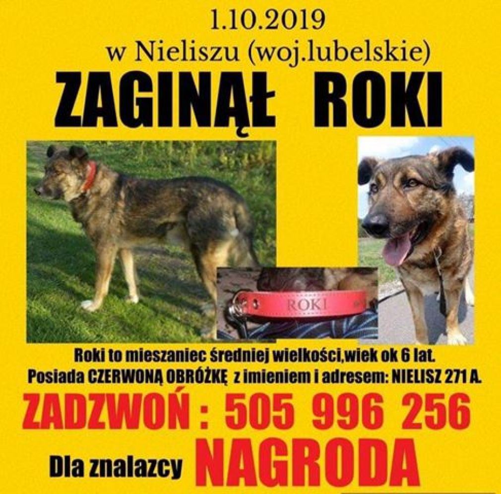 foto: materiał nadesłany