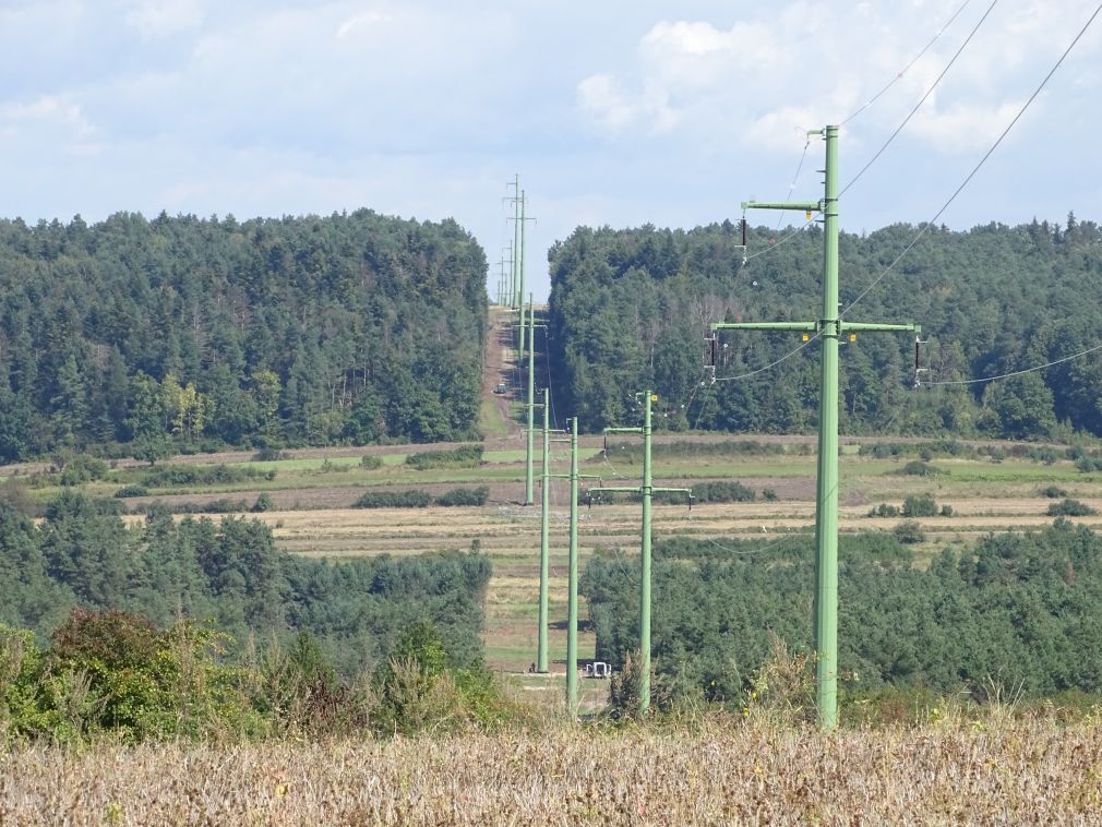 foto: materiał nadesłany