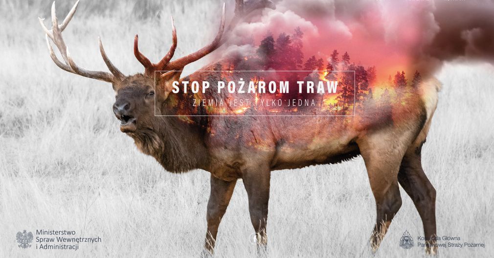 źródło: http://www.stoppozaromtraw.pl