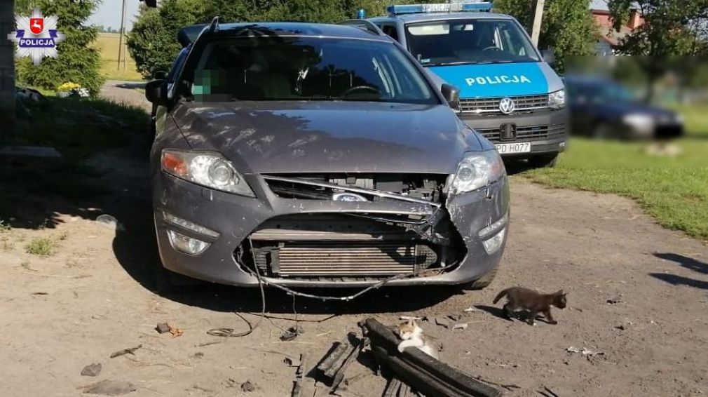 foto: Policja