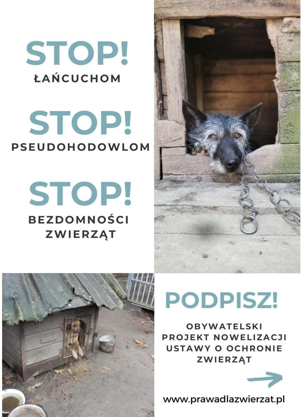 foto: materiał nadesłany