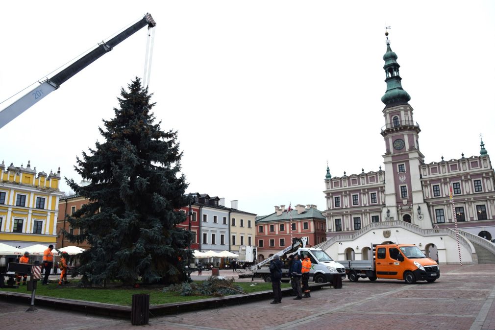 foto: UM Zamość