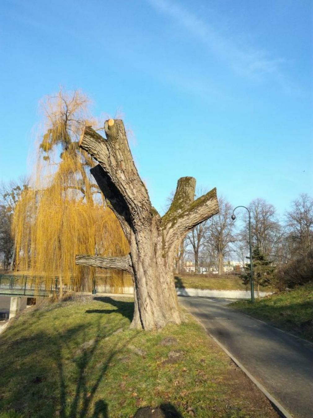 foto: UM Zamość