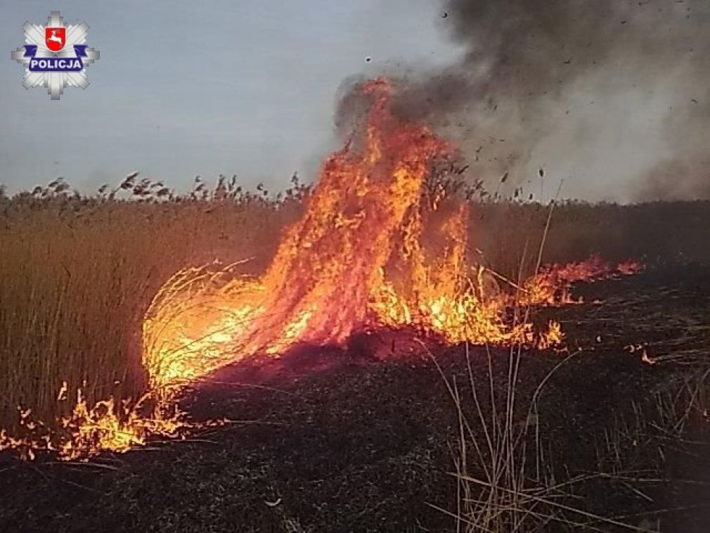 foto: Policja