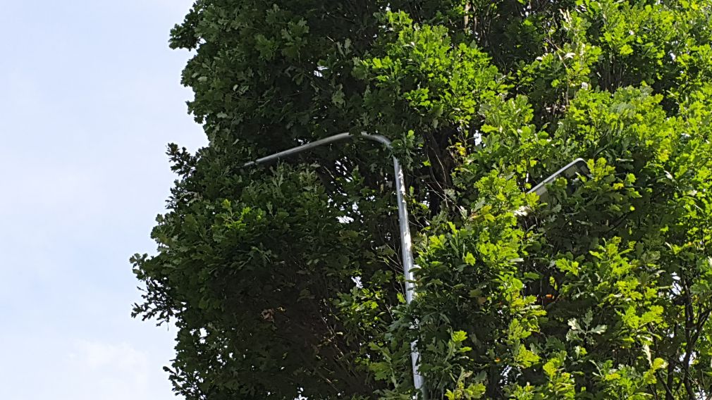 foto: Czytelnik, materiał nadesłany