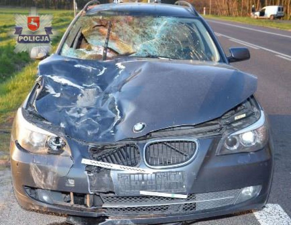 W zderzeniu z leśną zwierzyną ucierpiał kierowca i pasażer BMW, foto: Policja