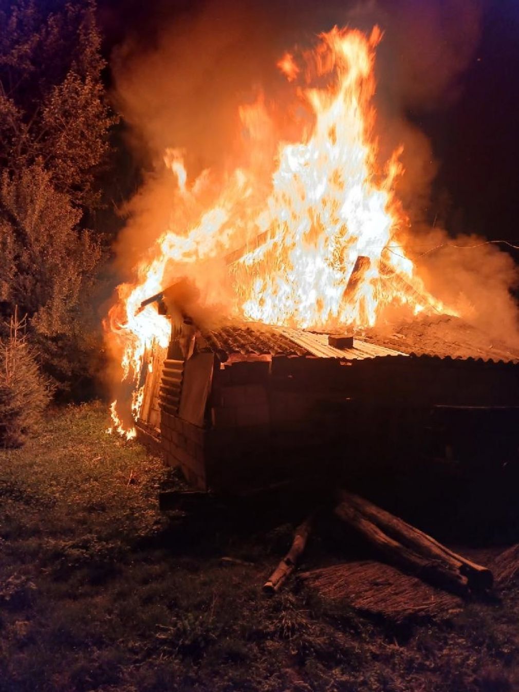 foto: Policja