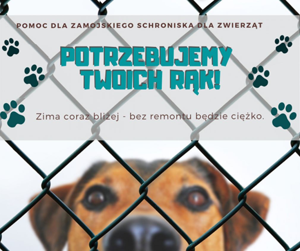 foto: materiał nadesłany